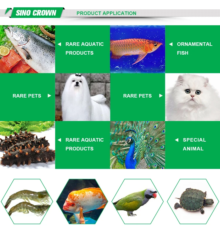 Mealworms Yee Fish Food Dried Mealworms 100%Pure Natural Bulk Nirds Fish Small Pet Food