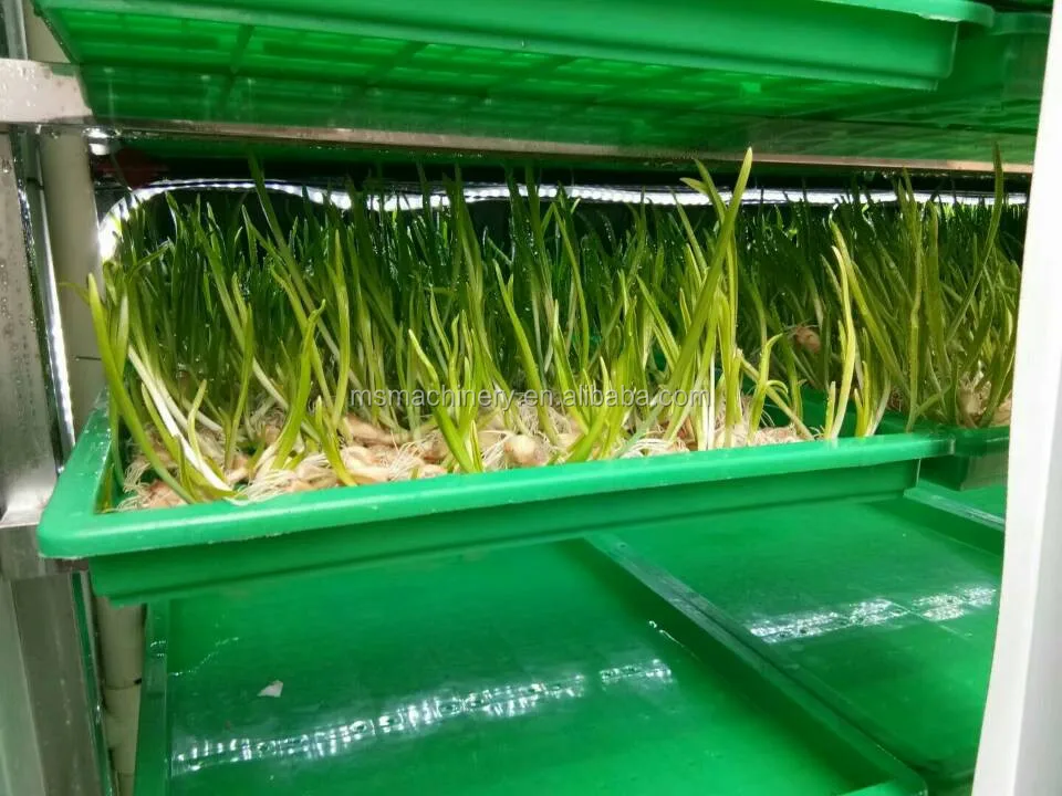 Commercial Sprout Equipment Sprouting Seeds Growing Machine Buy Seed Growing Machine,Sprout