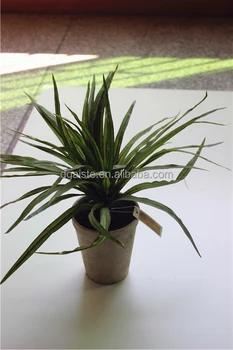 K12752gr1 Dracaena Indoor Decoration Artificial Plant Decorative