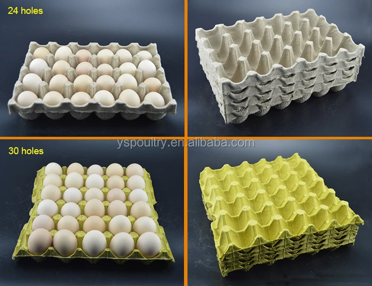 Commercial Egg Tray (1)