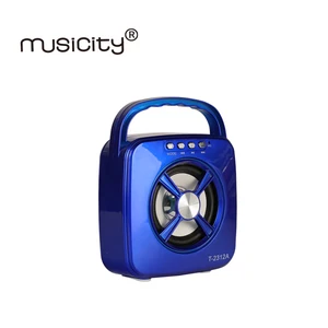 Musicty FM Radio Wireless Portable Speaker