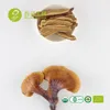 Herbal reishi mushroom (ganoderma) Slices