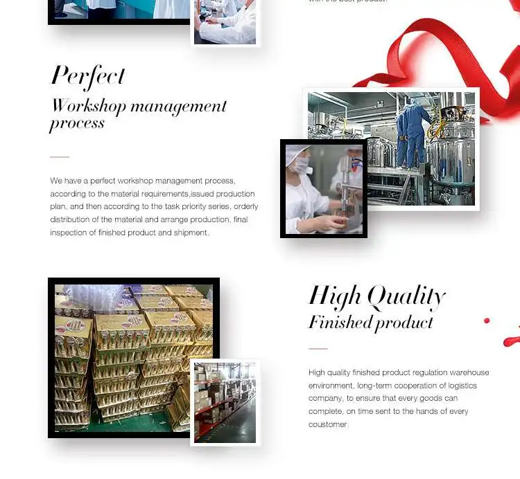 company profile 2.jpg