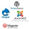 WordPress Web Design Company in India, wordpress developer iniz solutions