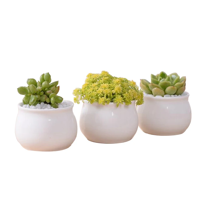 

Modern indoor decor small white ceramic flower pot