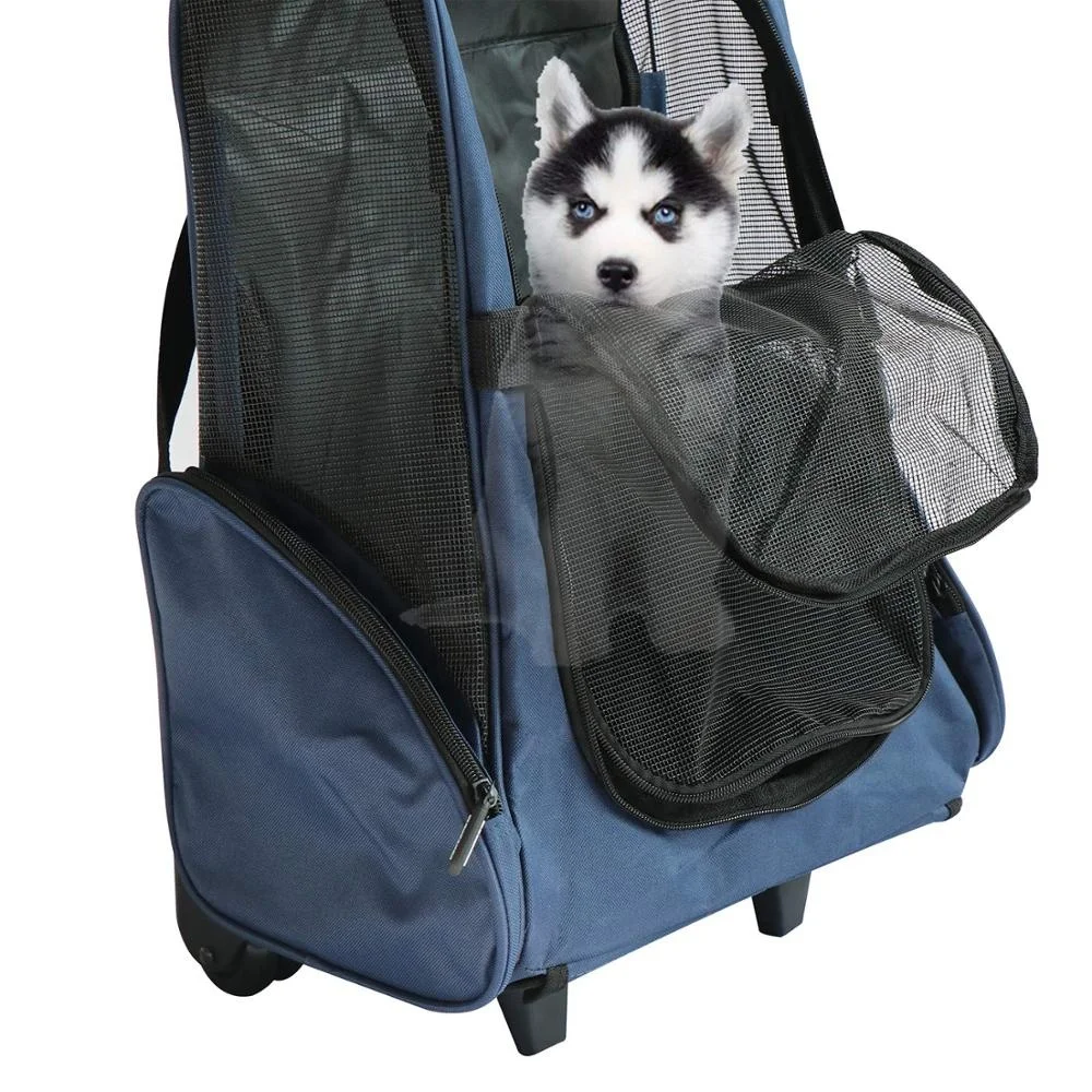 alaska airlines approved pet carrier