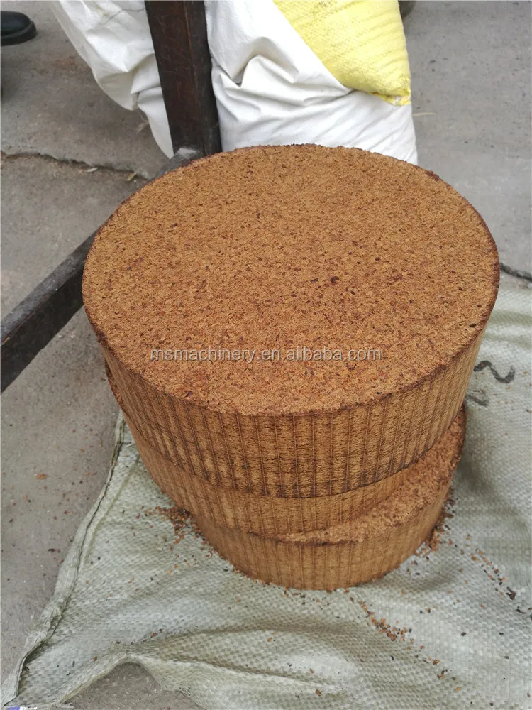 home olive oil press machine
