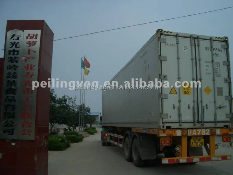 
Good china carrot for RUSSIAN Market 