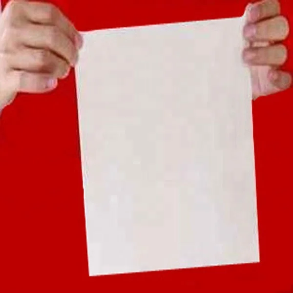 
Halal frozen food spring roll pastry 