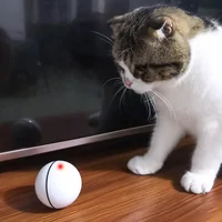 

Interactive Cat Toy Automatic Scrolling USB Charge Cat Toys Light Pet Chase Cat Toy Ball