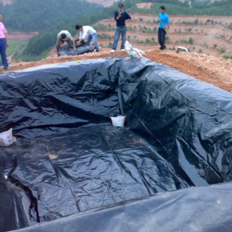 
plastic roll sheet pond liners cheap price hdpe geomembrane 