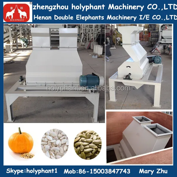 pumpkin seed shelling.jpg