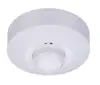 Wireless 220V indoor HF sensor light switch ceiling mounted microwave radar motion sensor module light switch (PS-RS01)