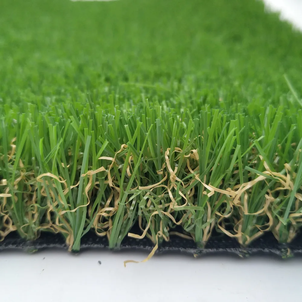 Фестулолиум трава для газона описание и фото