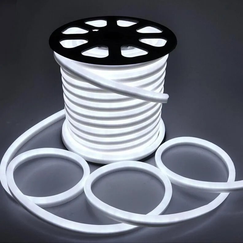 High brightness DC12V 24V Flexible LED Neon strip Light