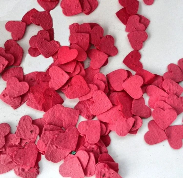 red heart shape seed flower