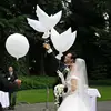 Hot selling white dove balloons for wedding party decorations helium pigeon balloons bird shape foil balloon