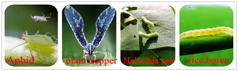 Emamectin benzoate.jpg