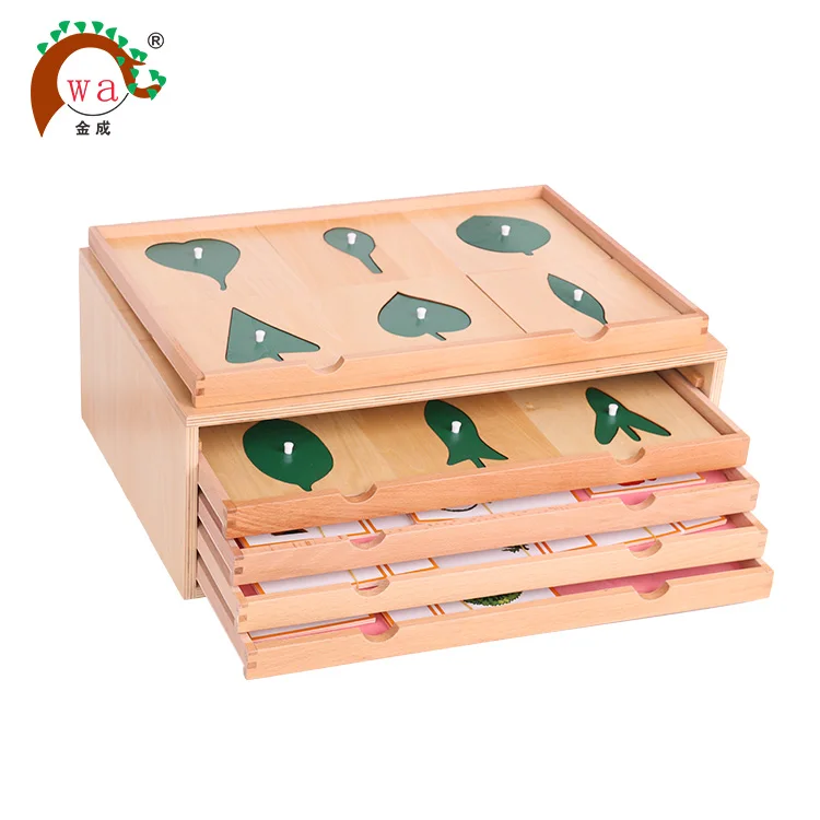 Montessori Botany Leaf With Insets Buy Montessori Material For Montessori