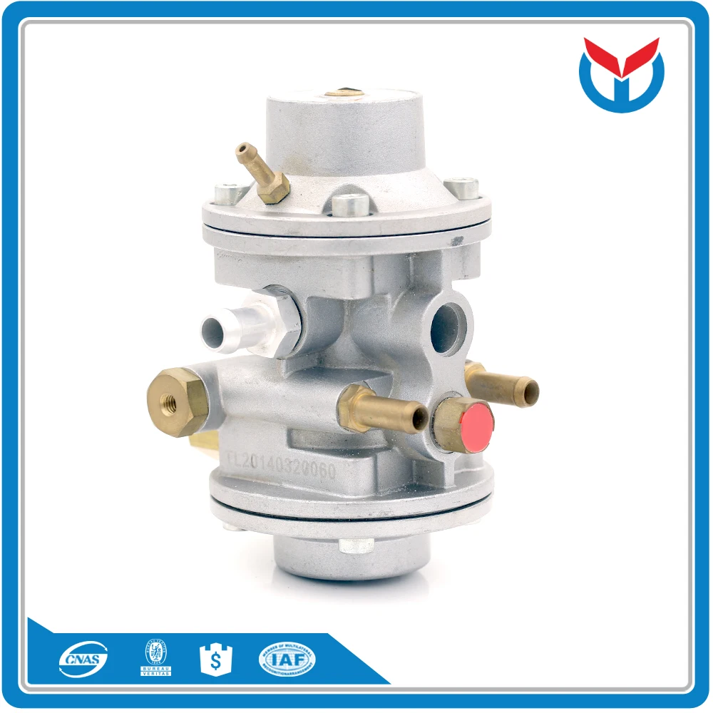 cng reducer regulator (9)