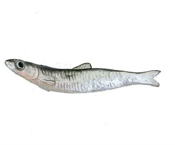 Hamsi-Magnet.jpg_350x350.jpg
