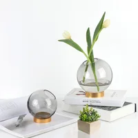 

RTS gold metal round spherical glass vase home hydroponic growing systems Nordic vase glass vase round pay later