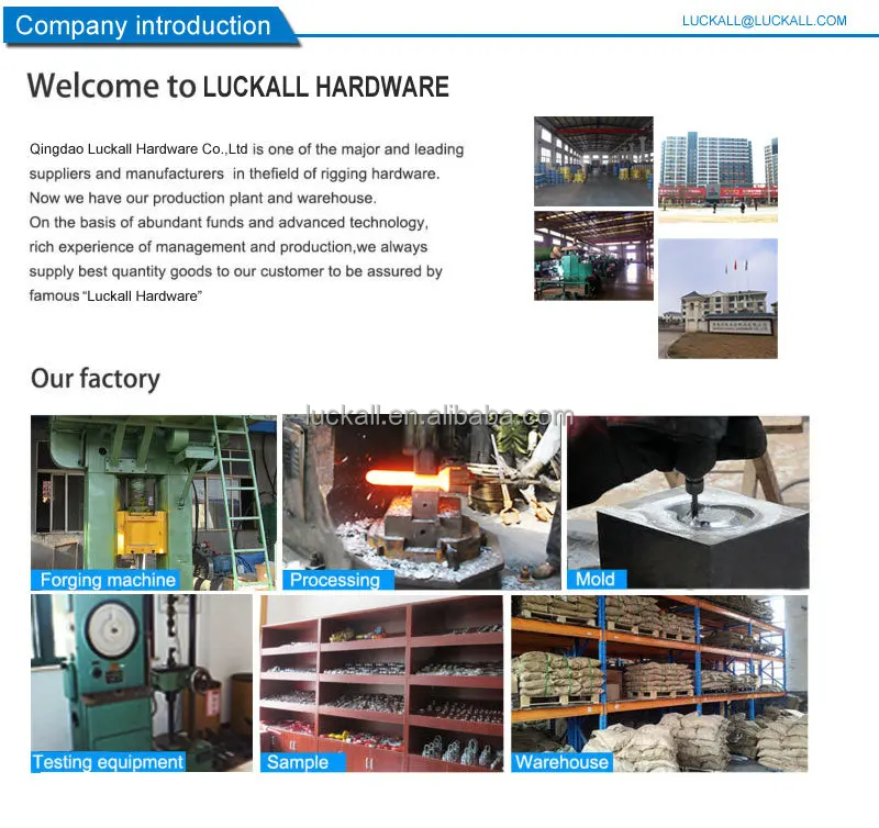 1--company introductiong-1.jpg