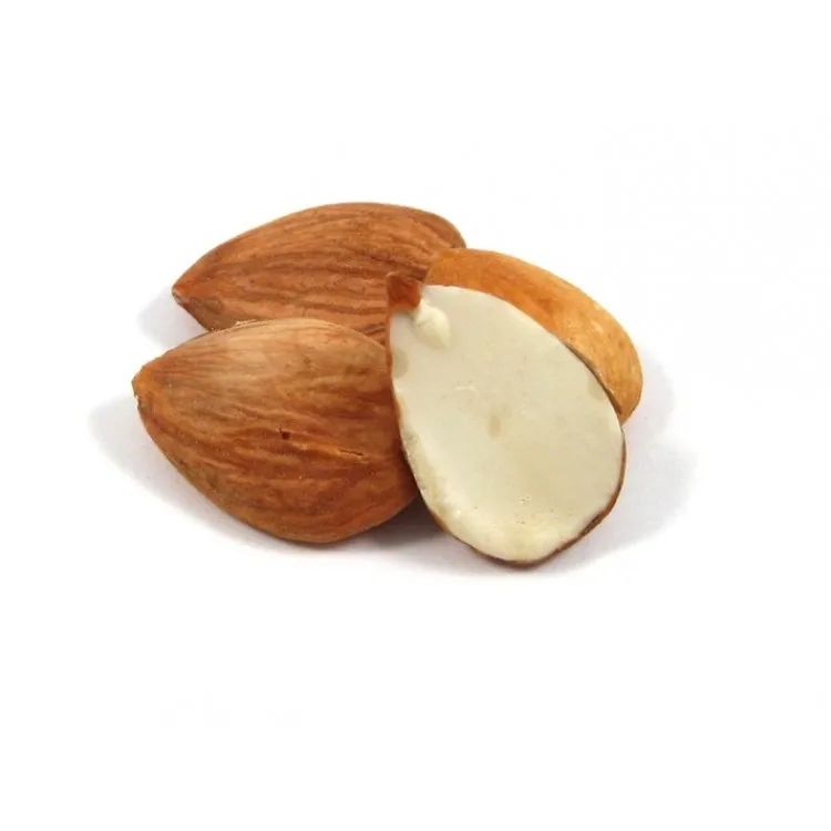 
Organic Apricot Seeds Vitamin B17 B15 Source Bitter Apricot Kernels 