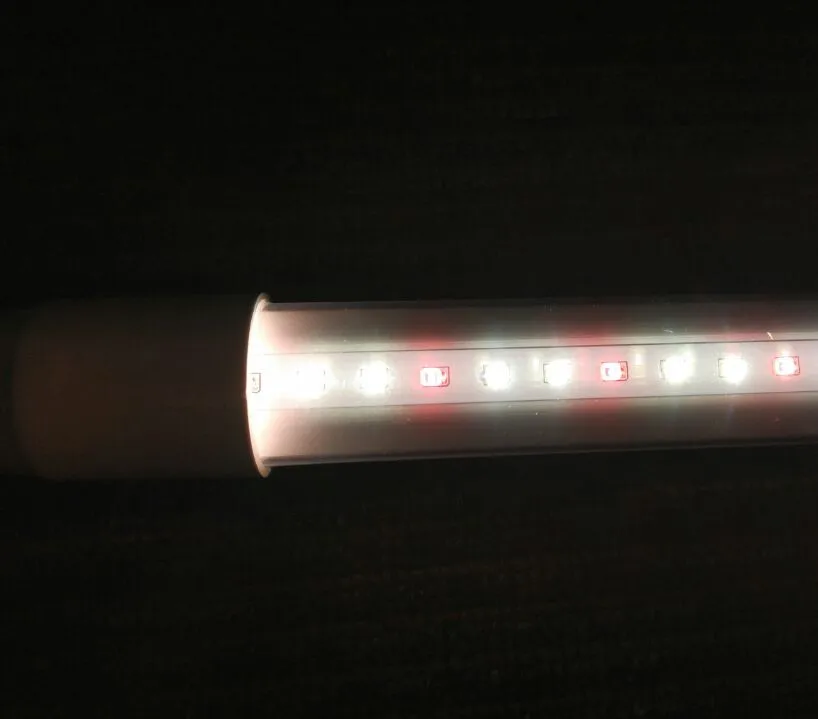led grow tube 019.jpg