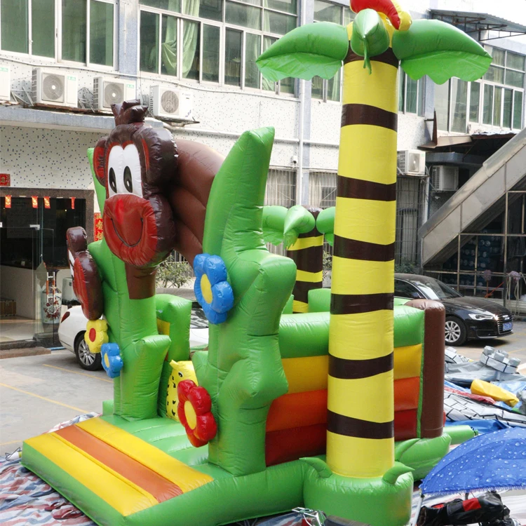 castle slide.jpg