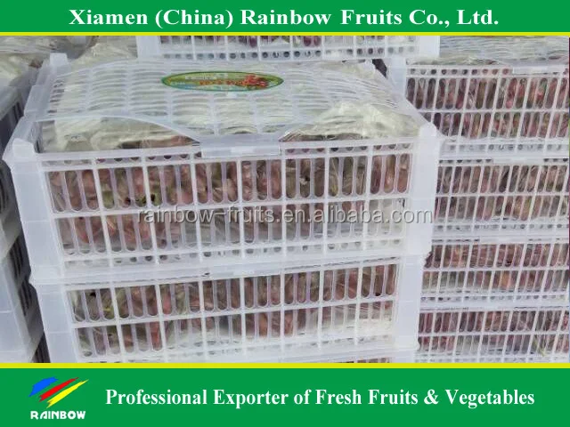 
Fresh fruit of Yunnan Red Globe Grape with good taste grapes peru Seedless grapes 