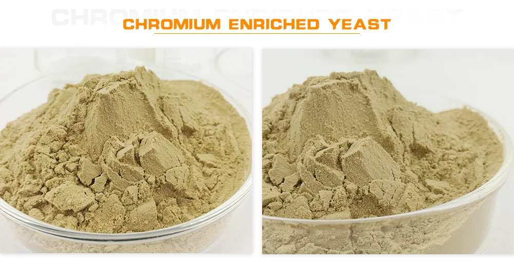 Healthy Food Additive Chromium Enriched Yeast Buy Sports Supplement