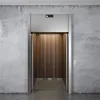 residential small passenger siemens elevator manufacturer