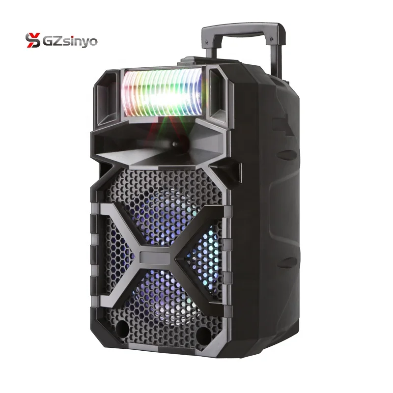2019 new private 8 inch portable bluetooth karaoke speaker system with flashing dj lights