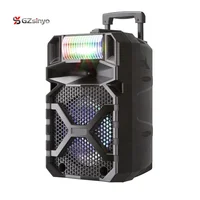 

2019 new private 8 inch portable bluetooth karaoke speaker system with flashing dj lights