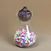 transparent glass hyacinth vase