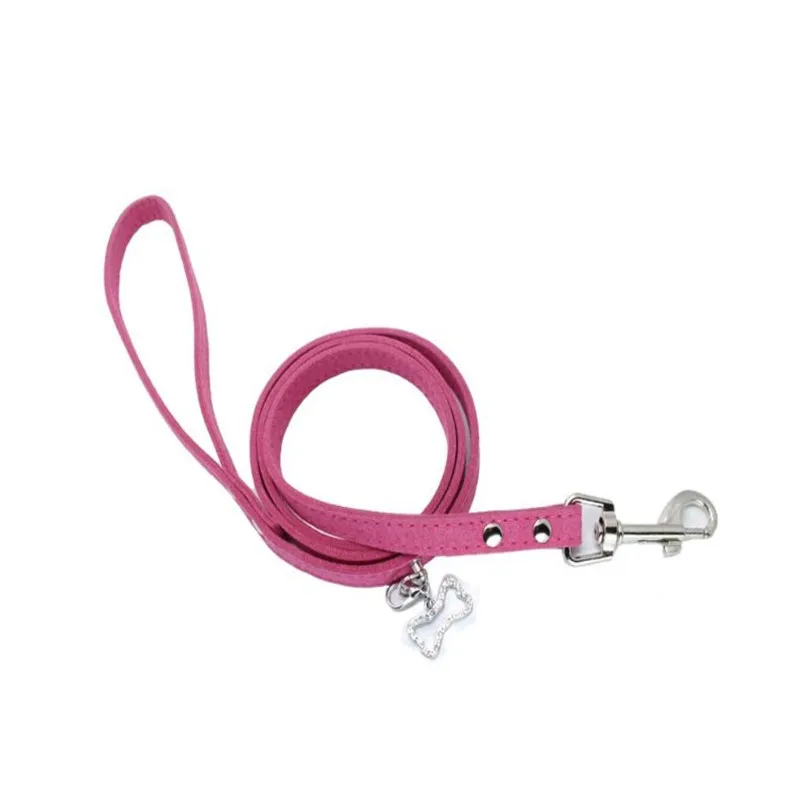 Promo wholesale nylon dog leash