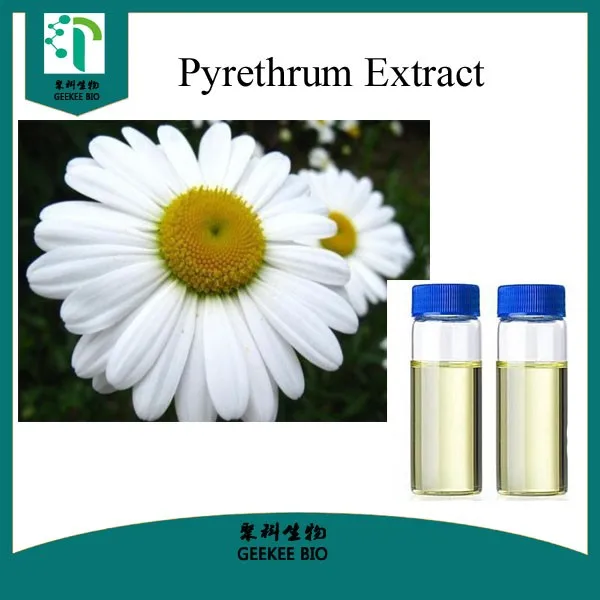 Chrysanthemum Extract Natural Pyrethrum Pyrethrin In Biological