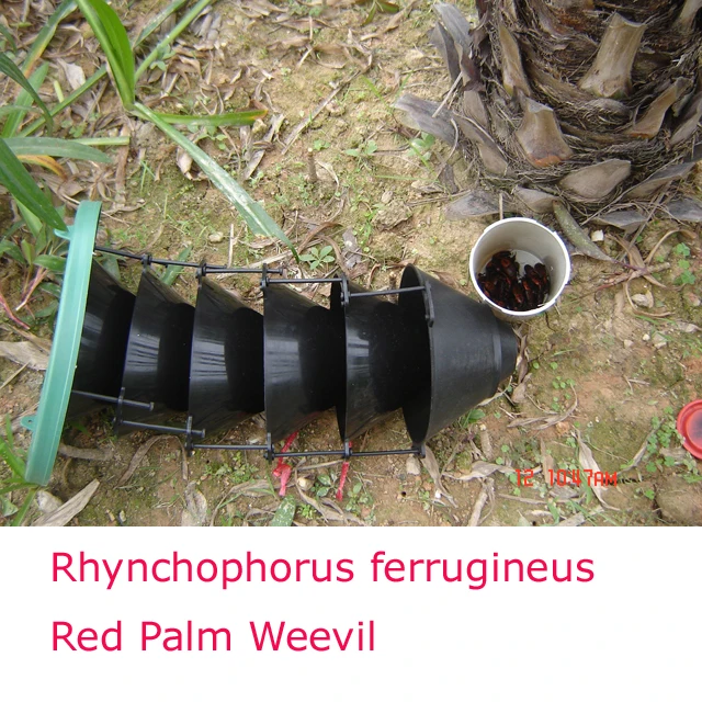 Forest Pest Control Multi Funnel Traps Weevil Trap - Buy Pheromone Trap ...