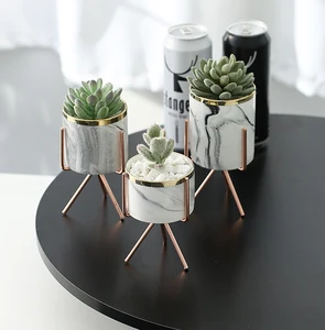 Image of YL0854 Modern style small concrete succulent plant pots