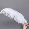 Wholesale High quality 15-20cm White Ostrich Feather for Wedding Party Decorations