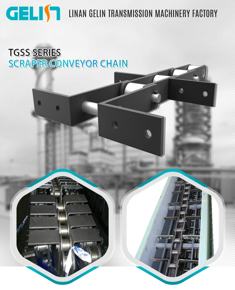 TGSS scraper conveyor chain.jpg