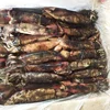 Frozen black squid size 100-150