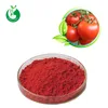 ISO Certificated Food Grade Pure Tomato Skin Extract