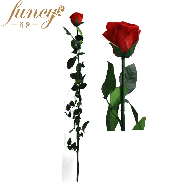 Wholesale Long Stem Preserved Rose With 60 Cm Stem Pvc Box Buy Stem