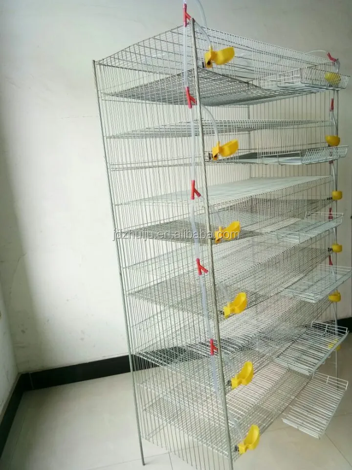 H Type Commercial Layer Quail Cages Quail Laying Cage For Egg