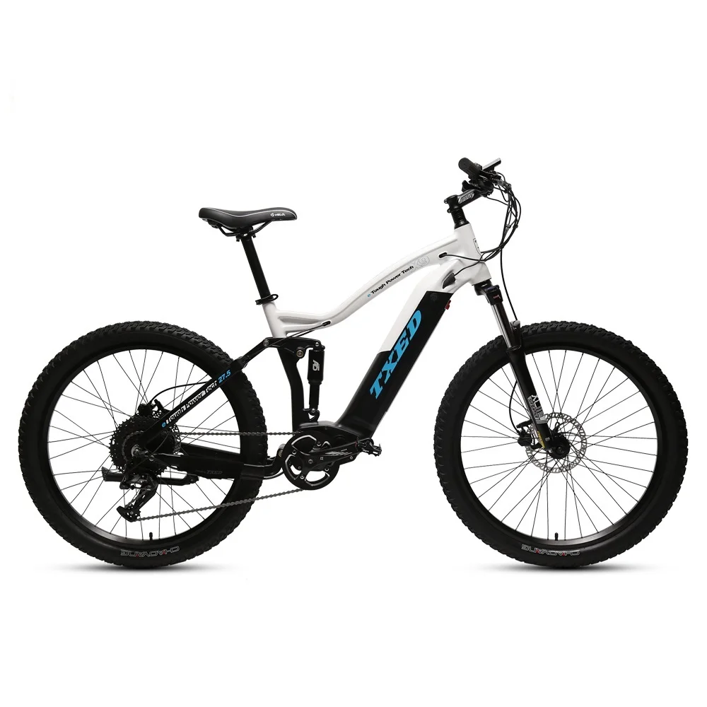 Mountain Electric Bike Canada US Market 750W Motor Electric Bike
