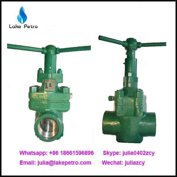 China Price API 6A Mud Gate Valve