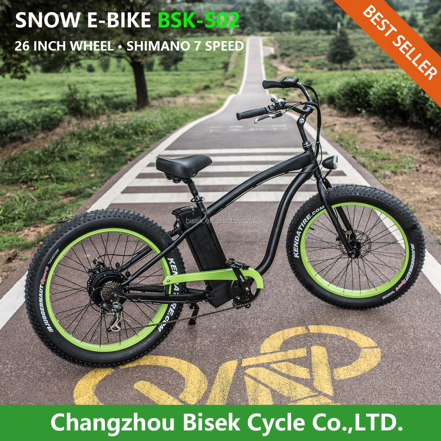 Fast Speed Electric Bike Long Range Beach Cruiser Fat Bike Electric