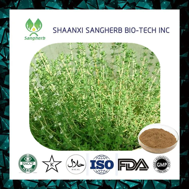 Thymus Mongolicus/thyme Extract/thymus Serpyllum Extract Buy Thymus